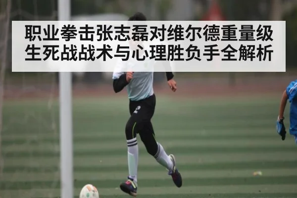 职业拳击张志磊对维尔德重量级生死战战术与心理胜负手全解析